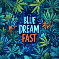 Nordkraut Blue Dream Fast