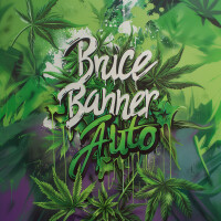 Nordkraut Bruce Banner Auto