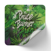 Nordkraut Bruce Banner Auto