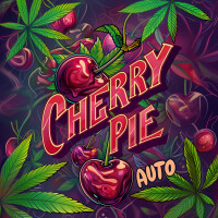 Nordkraut Cherry Pie Auto