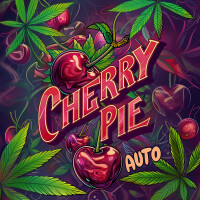 Nordkraut Cherry Pie Auto