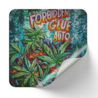 Nordkraut Forbidden Glue Auto