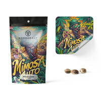 Nordkraut Mimosa Auto