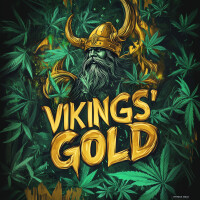 Nordkraut Vikings Gold