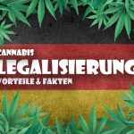 Cannabis Legalisierung: Vorteile und Fakten