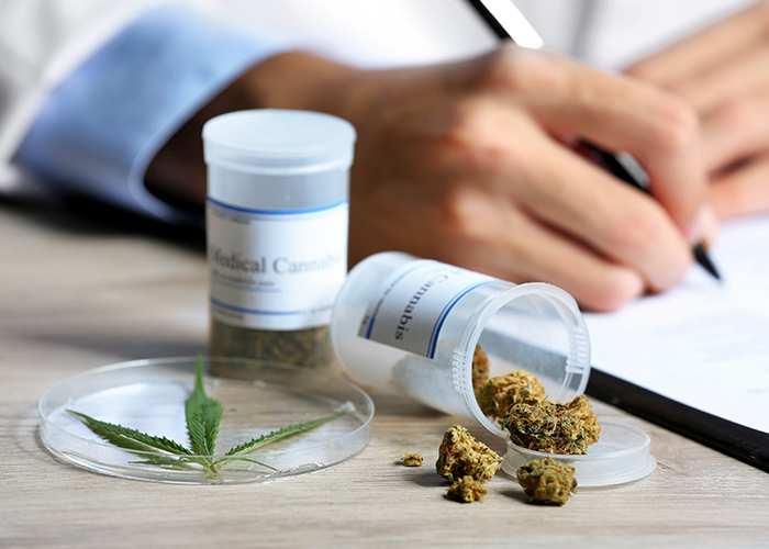 Medizinisches Cannabis wird immer beliebter