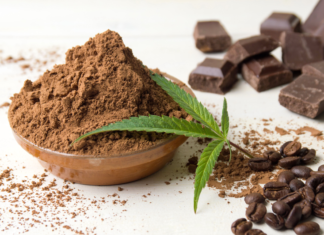 Heißer aromatischer Cannabis-Kakao für entspannte Abende
