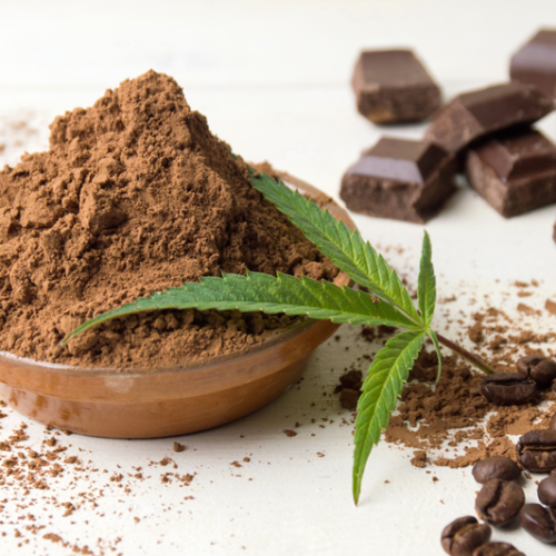 Heißer aromatischer Cannabis-Kakao für entspannte Abende